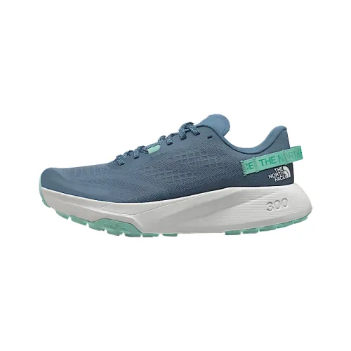 THE NORTH FACE Altamesa 300 Low top Running Shoes Women's Blue
