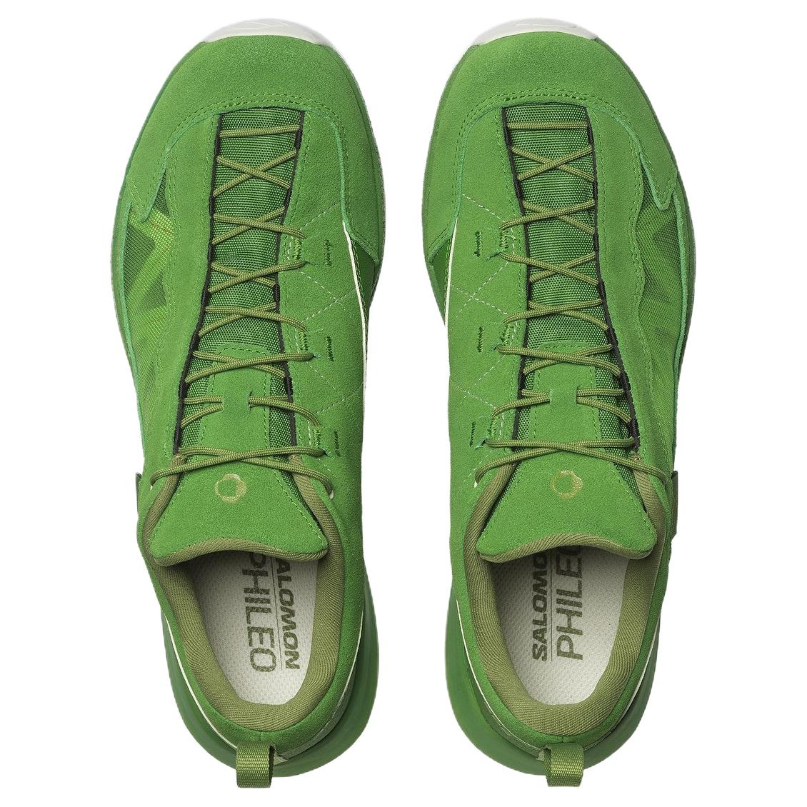 SALOMON Alpinway SP2 Philéo Landowski Treetop