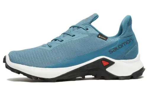 SALOMON Running Shoes Women's Low Top Blue