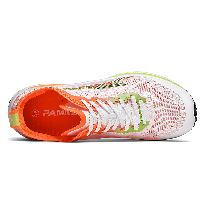 PANKE Abrasion Resistant, Breathable, Lightweight Low top Full Length Carbon Plate