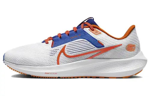 Nike Pegasus 40 Florida