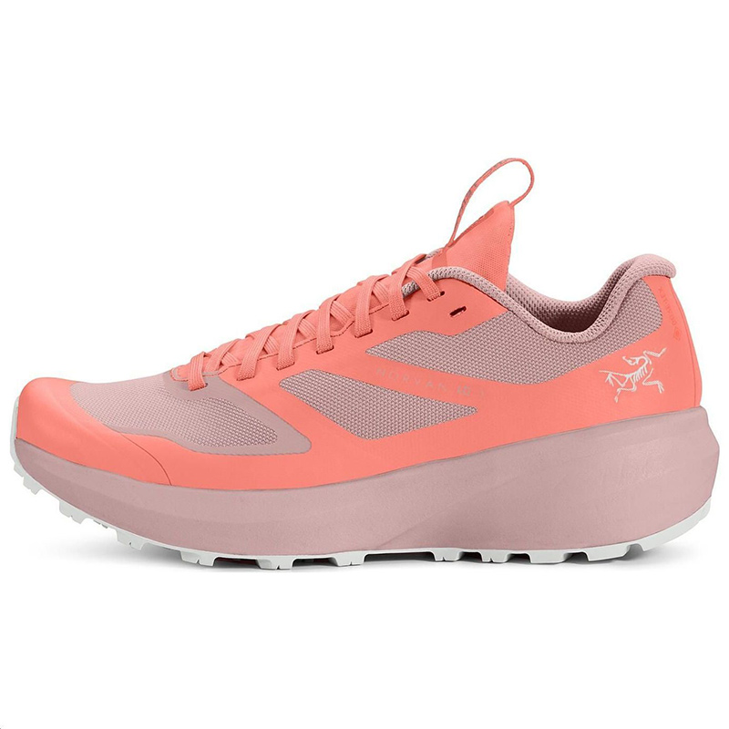 Женские кроссовки Arcteryx Arcteryx NORVAN LD 3 (розовые)