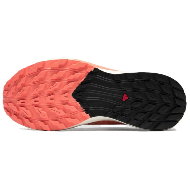 SALOMON Sense Ride 5 Slip Resistant Abrasion Resistant Slip Resistant Abrasion Resistant Low top Trail Running