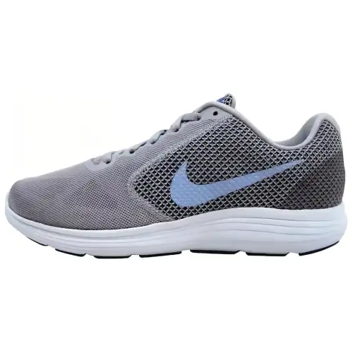 Nike Revolution 3 Wolf Grey Aluminum Women's