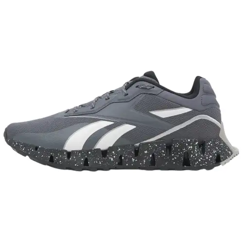 Reebok Zig Dynamica 4 Low top Running Shoes Men's Gray