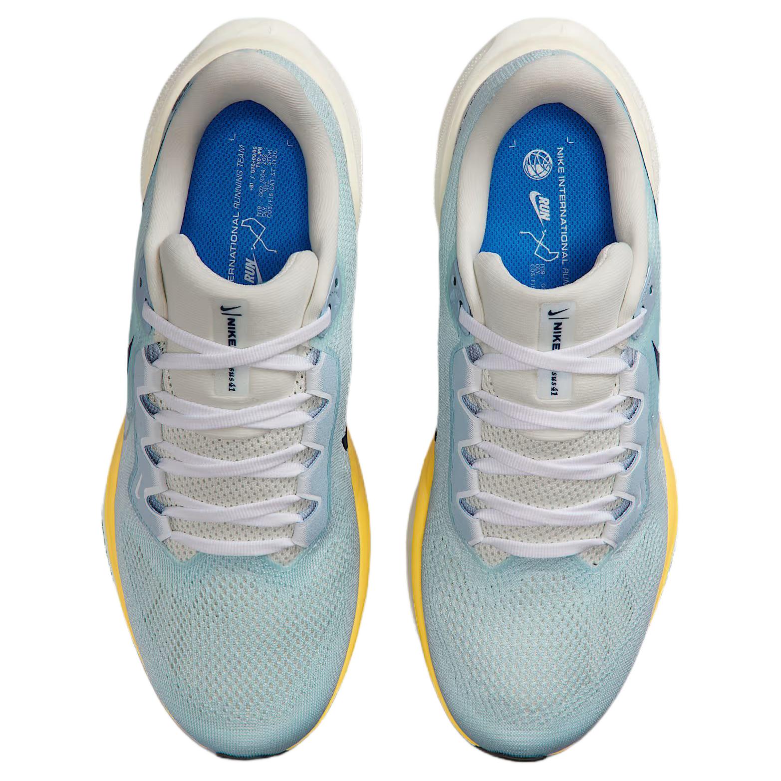 Nike Pegasus 41 Abrasion Resistant Low top Casual Running Shoes Women’s Blue