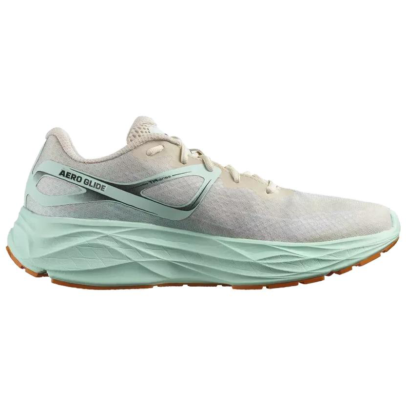 Aero Glide Salomon ‘Bleached Sand Yucca’