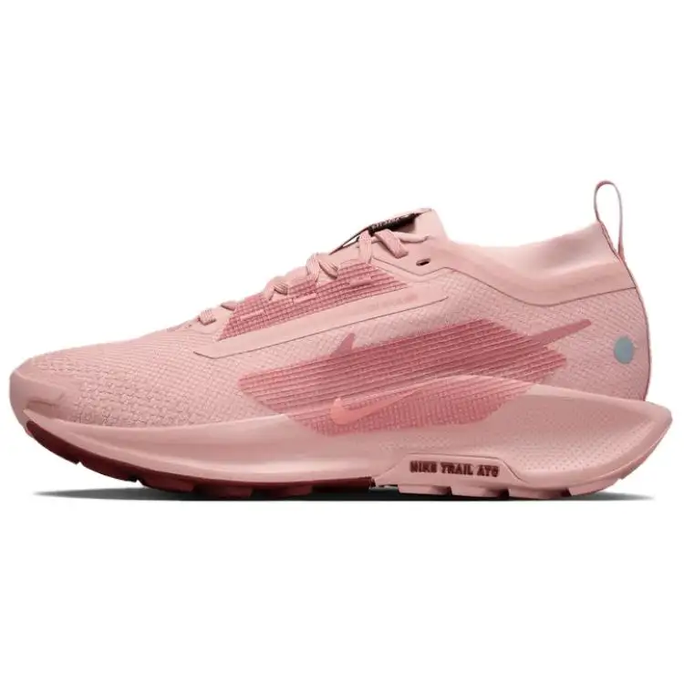 Nike React Pegasus Trail 5 Gore Tex Pink Oxford Red Sepia Red Stardust Women's