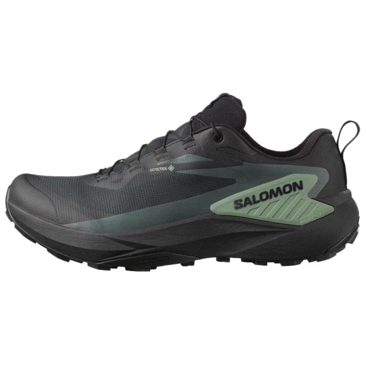 Мужские кроссовки Salomon SALOMON GENESIS GORE-TEX (черные)