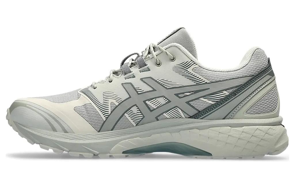 Мужские кроссовки ASICS Gel-Terrain (серый / бежевый)
