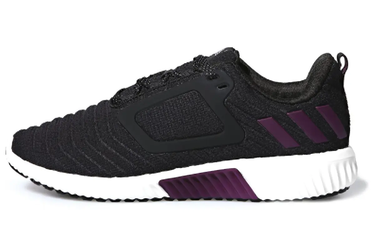 Adidas Climawarm All Terrain Black/Purple Women's