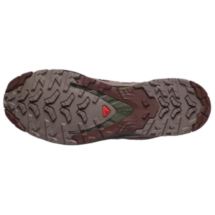 Xa Pro 3D V9 Salomon GORE-TEX ‘Rum Raisin’