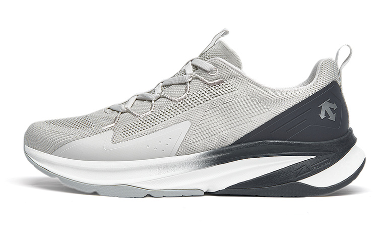 DESCENTE Enerzite Enzrzite Lavitate 2.0 Knit Low top Running Shoes Men's Gray