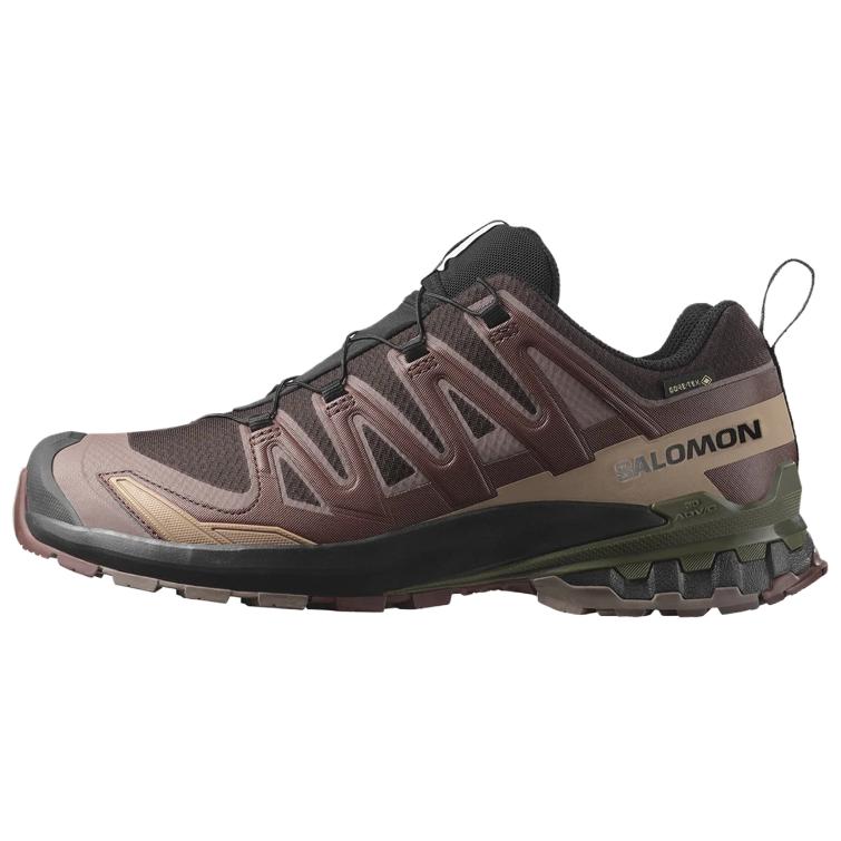 Xa Pro 3D V9 Salomon GORE-TEX ‘Rum Raisin’