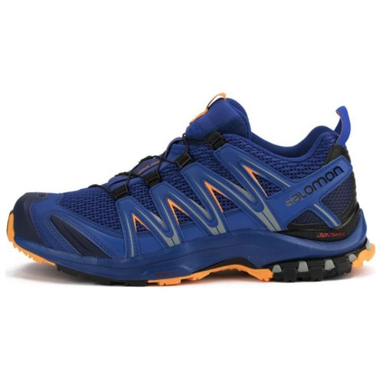 Мужские кроссовки Salomon SALOMON XA PRO 3D (синие)