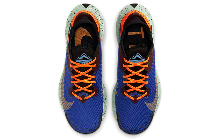 Мужские кроссовки Nike Pegasus Trail 2 Zoom GORE-TEX (сине-коричневые) — Синий / коричневый — фото 4