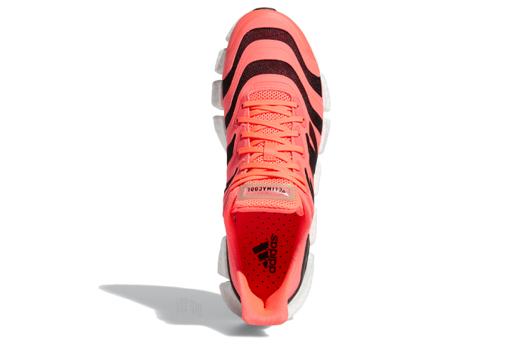 Кроссовки adidas Climacool Vento (розово-черные) — фото 5