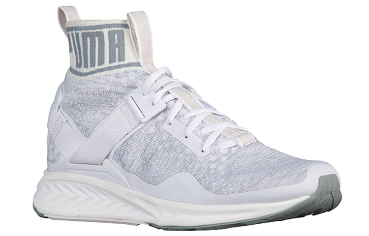 Мужские кроссовки PUMA IGNITE evoKNIT (белые) — фото 2