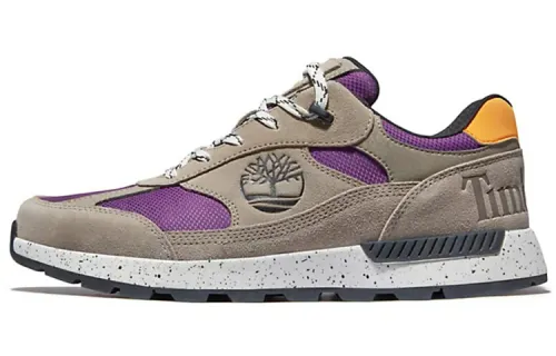 Timberland Field Trekker Casual Shoes Men's Low Top Gray/Purple