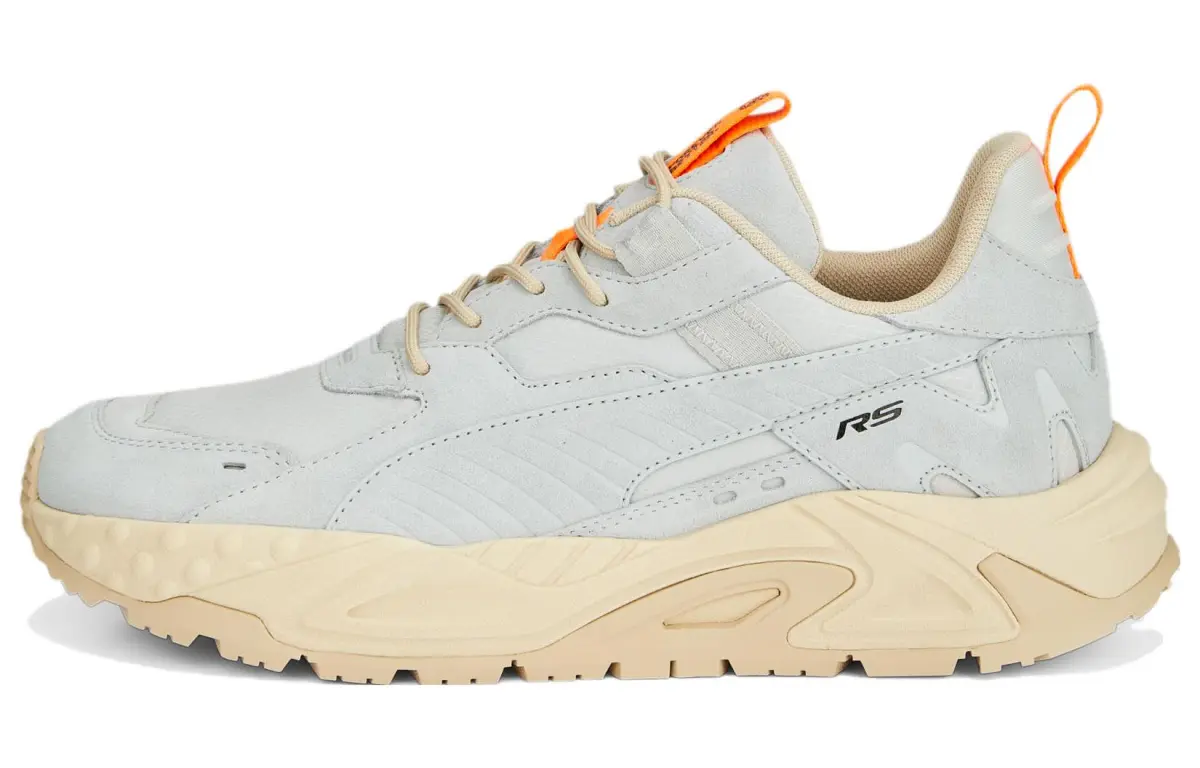 PUMA RS Trck Otdr 'Platinum Grey Granola'
