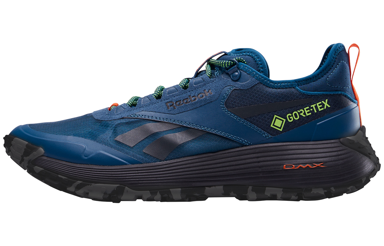 Кроссовки Reebok Reebok DMX TRAIL GTX (синие)