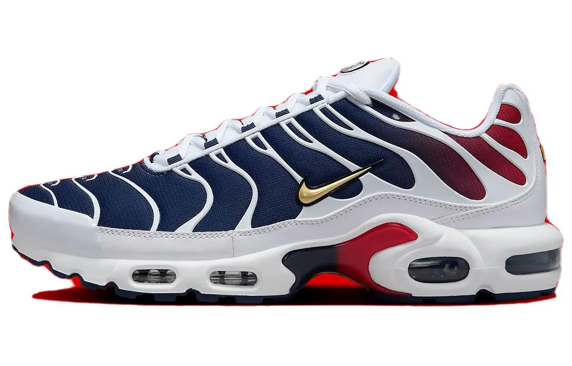 Nike Air Max Plus Psg