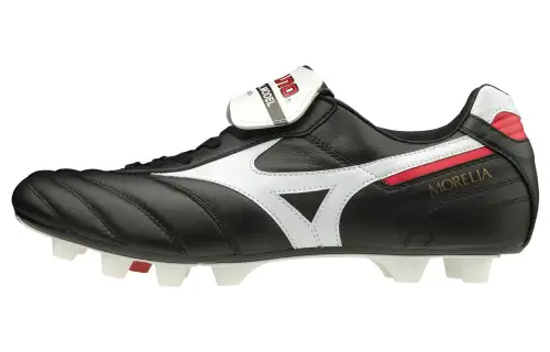 Mizuno Japan