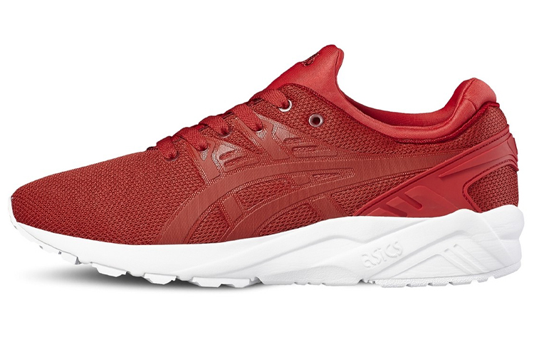 Asics Gel Kayano Trainer Evo