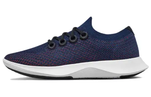 Allbirds Tree Dasher Casual Shoes Women's Low Top Water Bird Purple