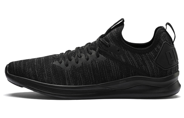 PUMA Ignite Flash EvoKnit 'Black Asphalt'