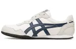 Onitsuka Tiger Serrano Slip on Low top Casual Shoes Unisex Gray Blue