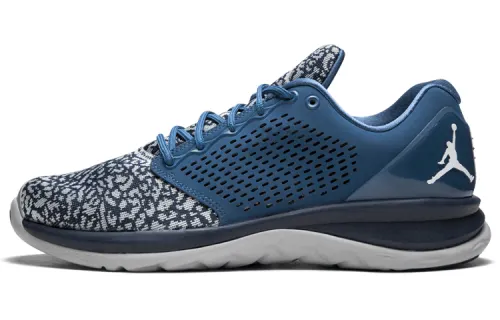 Air Jordan Trainer St 'French Blue'