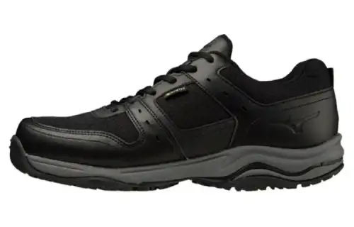 0D100 Mizuno GORE-TEX 8 'Black'