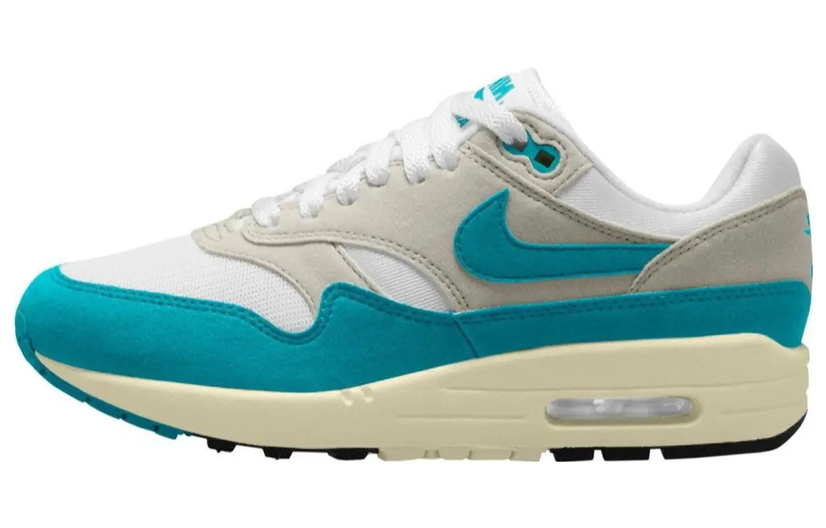 Nike Air Max 1 Dusty Cactus Women's