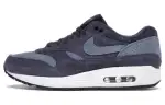 Nike Air Max 1 Indigo Perf