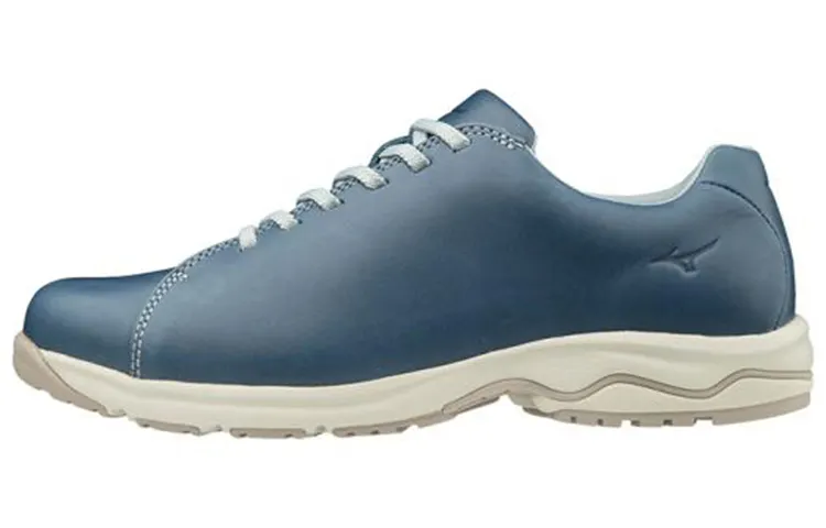 Mizuno Ld40 Casual Shoes Women's Low Top Blue