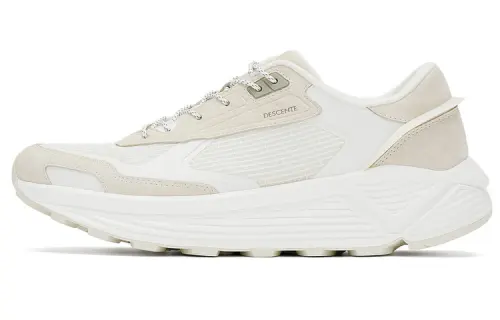 DESCENTE Dualis Mesh Cushioning Breathable Cushioning Breathable Low top Casual Shoes Men's Cream