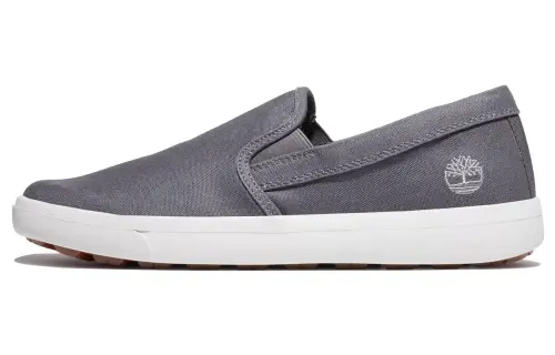 Timberland Ashwood Casual Shoes Men's Low Top Dark Gray