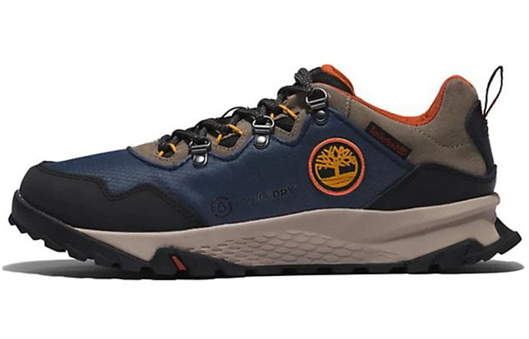 Timberland Lincoln Peak Casual Shoes Men's Low Top Gray/Blue/Black