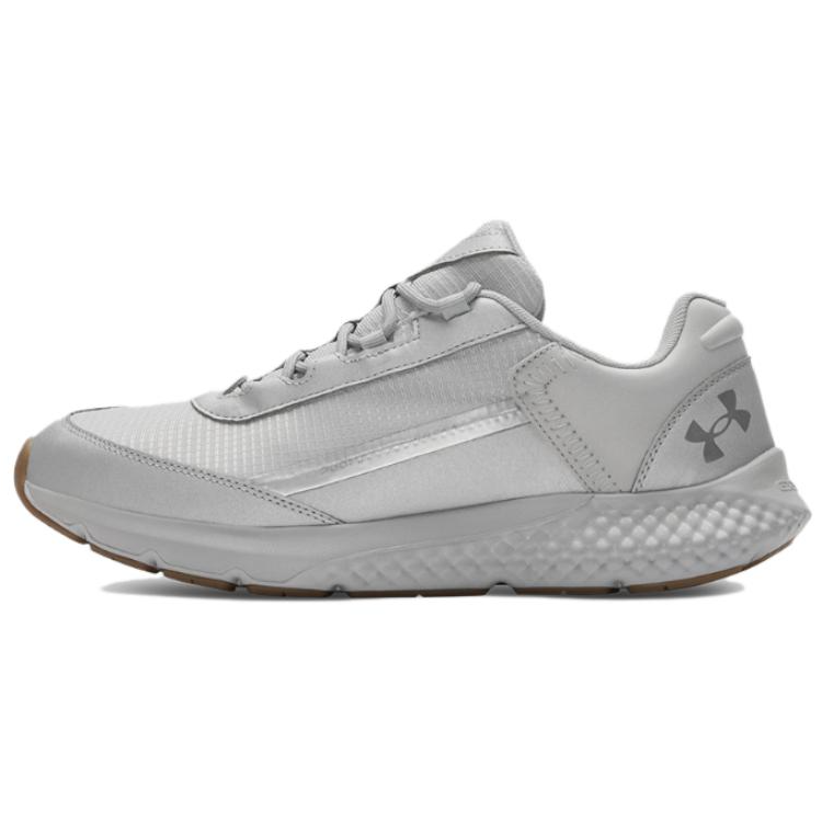 Мужские кроссовки Under Armour Charged Rogue SE (серебристые)