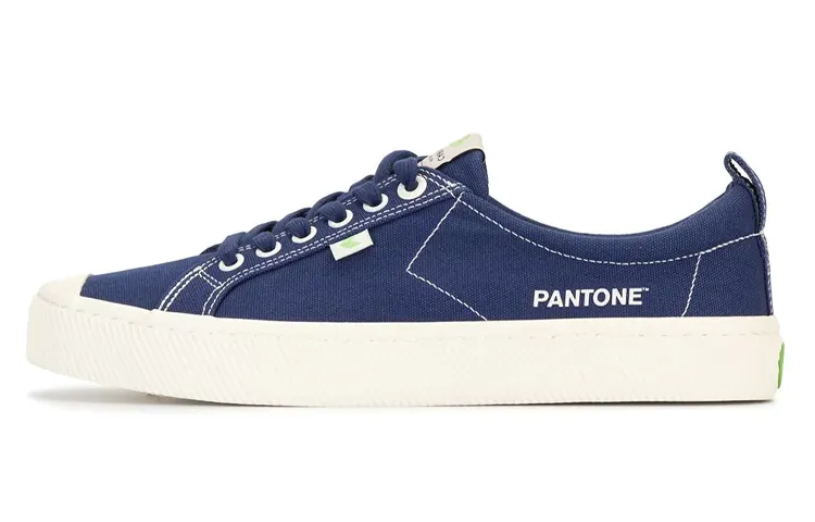 CARIUMA Skateboard Shoes Men's Low Top Blue