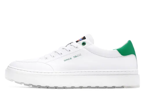 Dickies Low top Skateboard Shoes Men's White Green