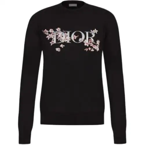 DIOR Sweaters Unisex Black Crew Neck Moderate Other