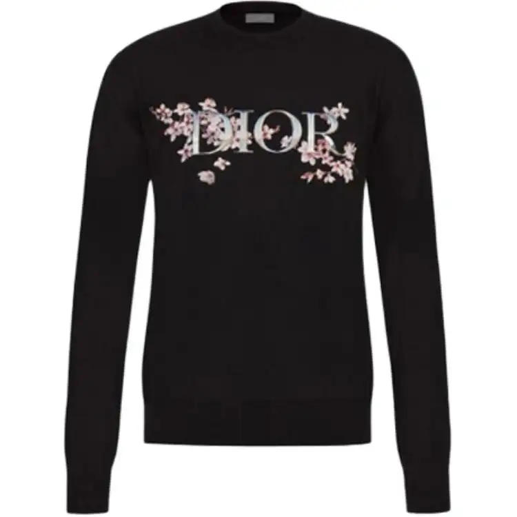 DIOR Sweaters Unisex Black Crew Neck Moderate Other