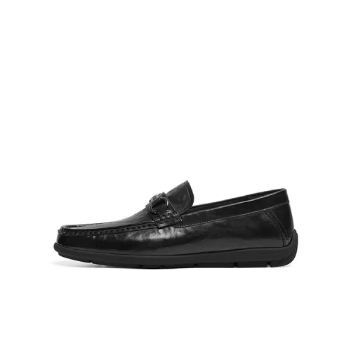Red Dragonfly, first-layer cowhide, slip-on, commuting men, comfortable and simple, casual leather shoes, men's black