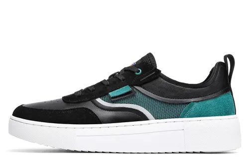 Dickies Casual Low top Skateboard Shoes Men's Black