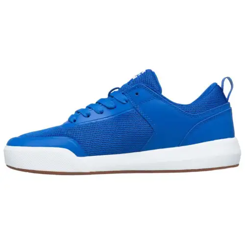 DC Shoes Transit Low top Skateboard Shoes Men's Blue