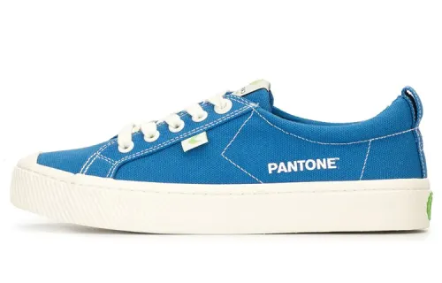 CARIUMA Skateboard Shoes Unisex Low Top Blue