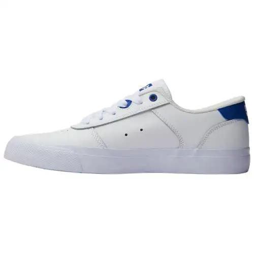 DC Shoes Teknic Leather Low top Skateboard Shoes Men's White Blue
