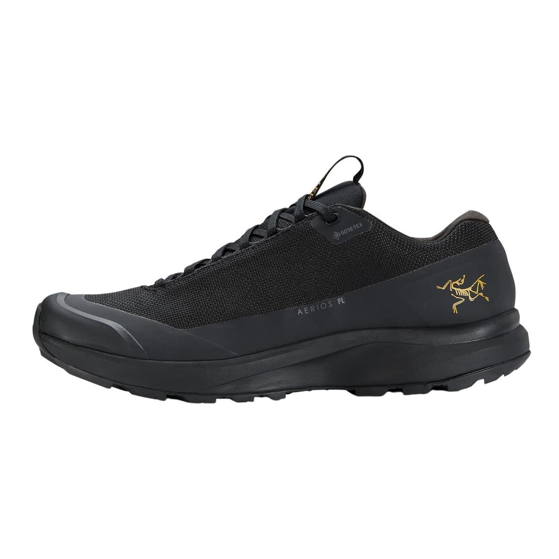 Мужские кроссовки Arcteryx Aerios Gore-Tex (черные)